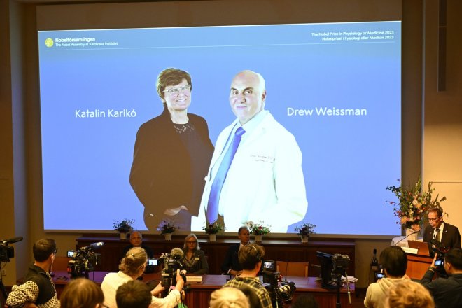 Nobelovu cenu za lékařství mají Maďarka a Američan za vakcíny mRNA proti covidu