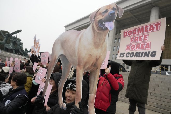 V Jižní Koreji schválili zákon zakazující konzumaci a prodej psího masa