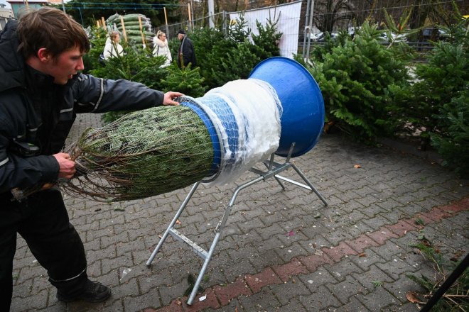 vánoční nákupy stromků
