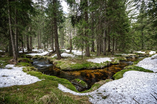 Česko zřejmě čekají další mírné zimy a menší zásoby sněhu