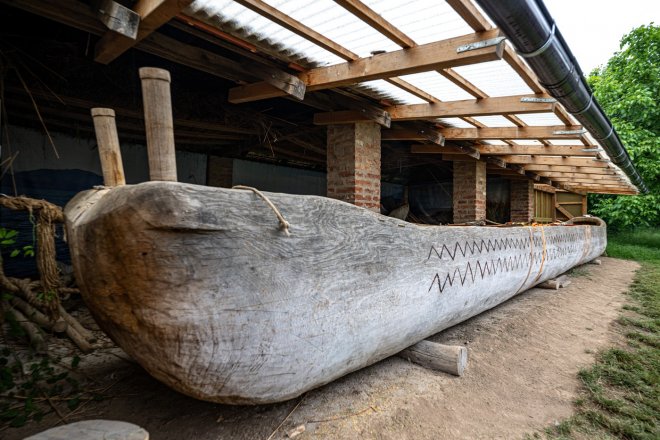 Monoxylon