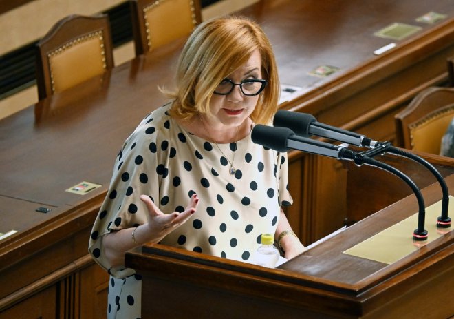 Ekonomové podpořili Pavlovo veto. Varují před vyššími schodky