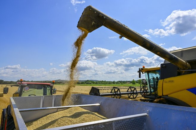 Sucho drtí české zemědělce. Co to udělá s cenami chleba a dalších potravin