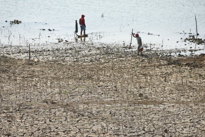 El Niño může do února přispět k úmrtí téměř půl milionu lidí