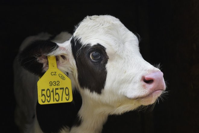 Farmáři chtějí větší dotace