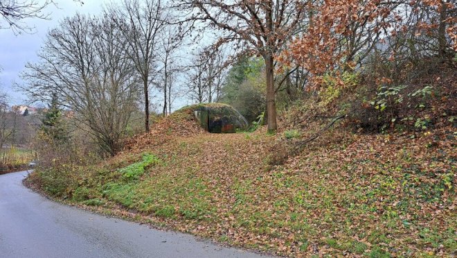 řopík u Stříbra