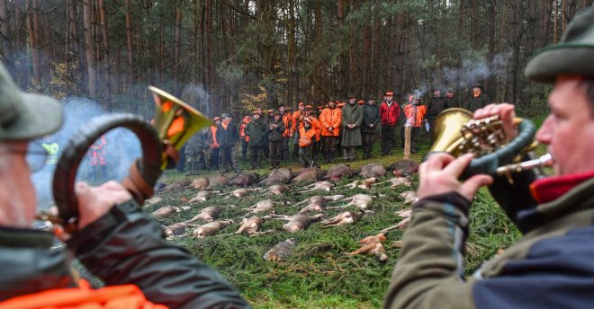 Glosa Dalibora Martínka: Masakr zvěře se daří. Za rok padlo rekordních 137 tisíc srn
