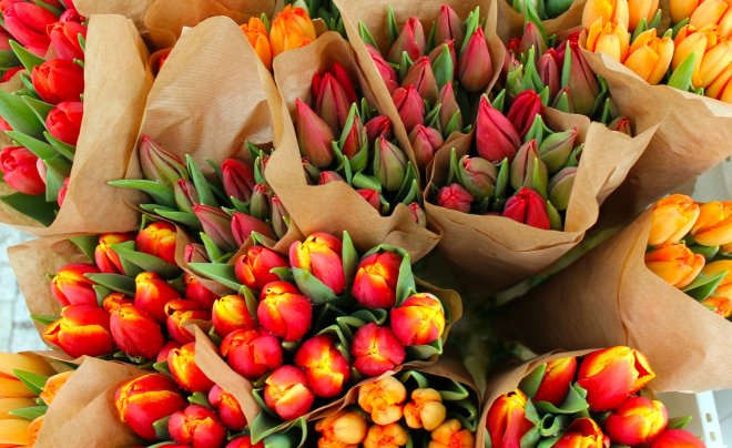 Řezané květiny jsou z 95 procent z dovozu