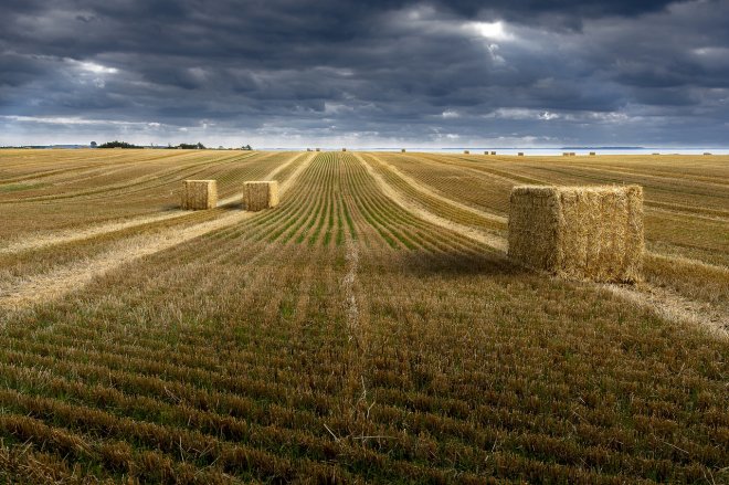 Ceny některých kovů, zemědělských výrobků a surovin se zvyšují a ocitají se na úrovních, kde ještě nikdy nebyly. Na vině je ozbrojený konflikt mezi Ukrajinou a Ruskem. Obě země jsou totiž důležité pro světový trh s pšenicí, slunečnicovým olejem, hliníkem, titanem či niklem, a ty reagují na ruskou invazi na Ukrajinu.