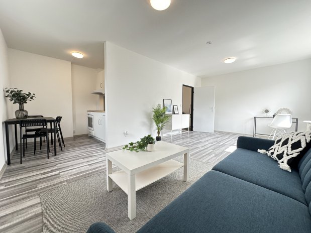 Bydlení je nedostupné pro osm z deseti Čechů. Pomoci mohou rekonstrukce starých domů