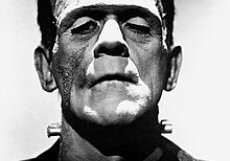 Frankensteinovo monstrum
