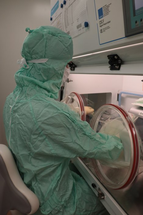 Nový inkubátor umožní významně navýšit počet pacientů, kteří mohou být začleněni do imunoterapeuitické léčby