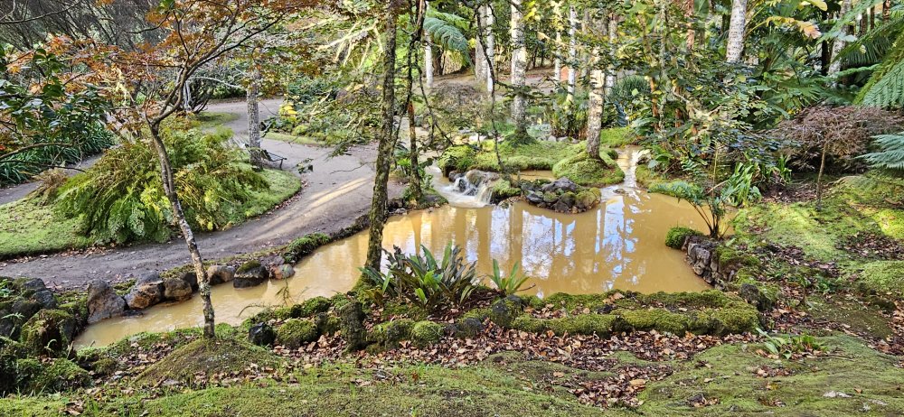 Ve zdejší botanické zahradě roste přes tři tisíce druhů stromů a keřů ze všech koutů světa.. 