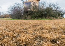 Experiment architekta Jana Tyrpekla měl otevřít diskuzi, jak s těmito objekty, které mají velký potenciál díky své poloze, lze naložit. Jelikož je téma využití těchto bunkrů citlivé, zvolil architekt lehká dřevostavba, která se dá kdykoliv odstranit. 