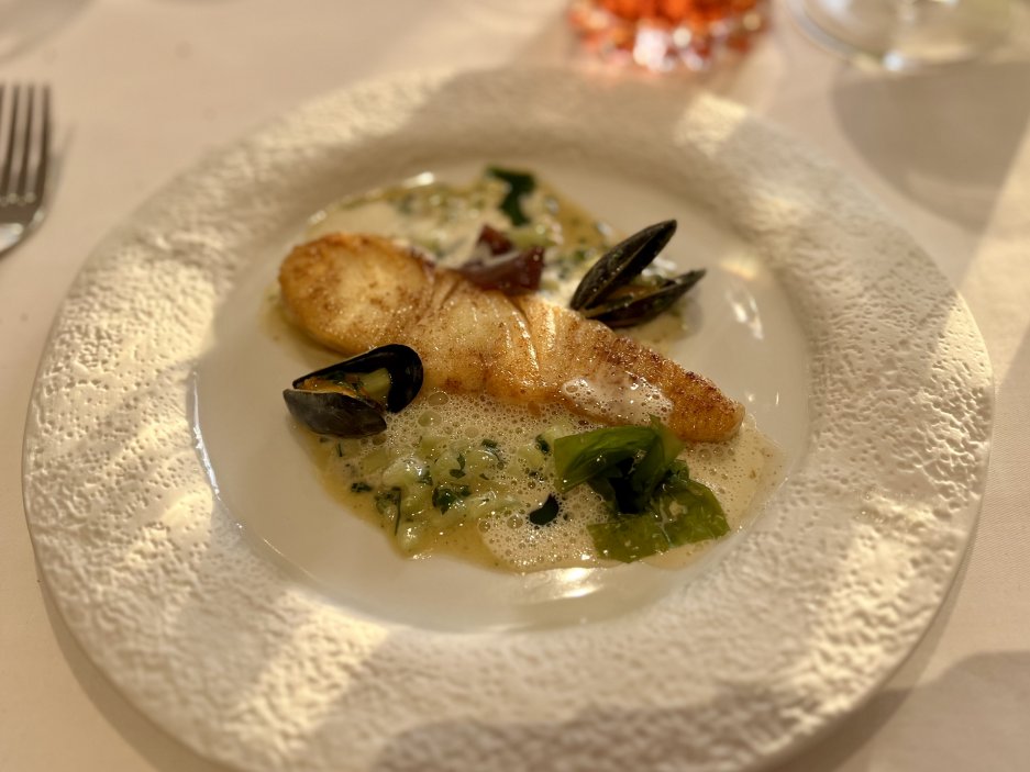 Halibut
