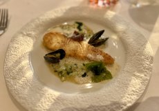 Halibut
