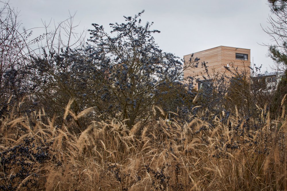 Jde o nízkonákladové modulární dřevostavby. 