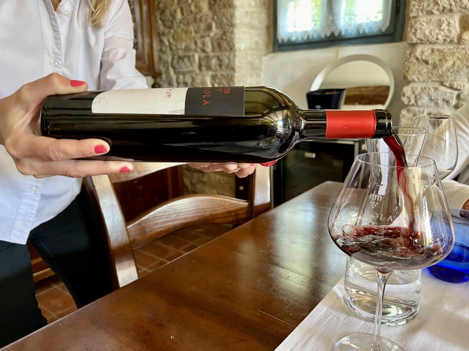 Degustace vín