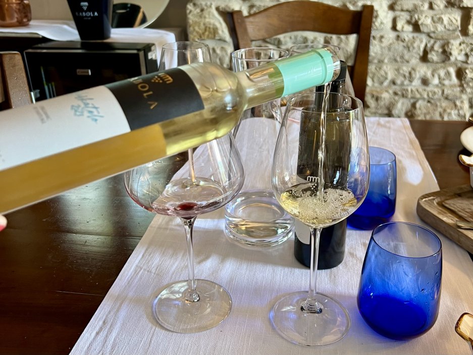Degustace vín