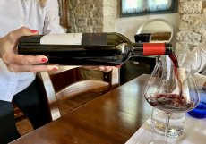 Degustace vín