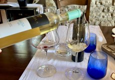 Degustace vín