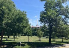 Riegrovy sady patří bezpochyby mezi nejznámější pražské parky. Nabízí 11 hektarů plochy, které se dají využít různě. 