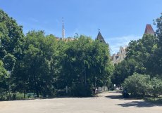 Vznikly před více než 120 lety spojením bývalé zahrady Kanálka a zahrad usedlostí Saracinka, Pštroska, Kuchynka a Švihanka. Dnešní Riegrovy sady jsou zapsány v seznamu nemovitých kulturních památek