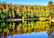 Na Rokytce nicméně koupaliště vyhloubili dávno předtím, říkalo se mu „Starák“. Mimochodem tak mu někteří starousedlíci říkají dodnes. A stejně se jmenuje i hudební festival, který se se kousek od koupaliště koná tradičně koncem srpna.