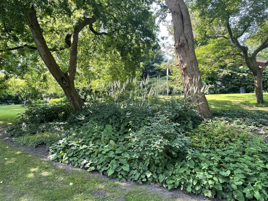 Planten un Blomen je zelená oáza v centru města. Park se rozkládá na ploše asi 47 hektarů od Dammtor po Reeperbahn. V létě jsou zde také možnosti trávení volného času a spousta hudby