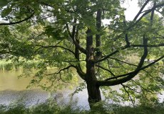 Planten un Blomen je zelená oáza v centru města. Park se rozkládá na ploše asi 47 hektarů od Dammtor po Reeperbahn. V létě jsou zde také možnosti trávení volného času a spousta hudby