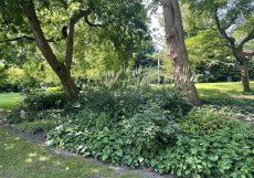 Planten un Blomen je zelená oáza v centru města. Park se rozkládá na ploše asi 47 hektarů od Dammtor po Reeperbahn. V létě jsou zde také možnosti trávení volného času a spousta hudby