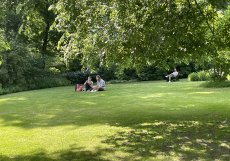 Planten un Blomen je zelená oáza v centru města. Park se rozkládá na ploše asi 47 hektarů od Dammtor po Reeperbahn. V létě jsou zde také možnosti trávení volného času a spousta hudby