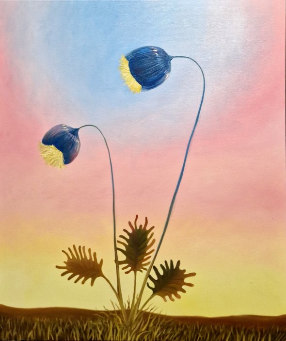 Rostliny inspirované tajemnou knihou