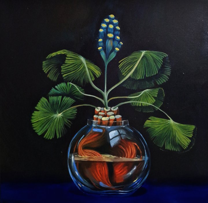 Rostliny inspirované tajemnou knihou