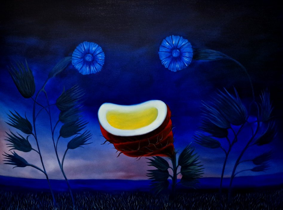 Rostliny inspirované tajemnou knihou