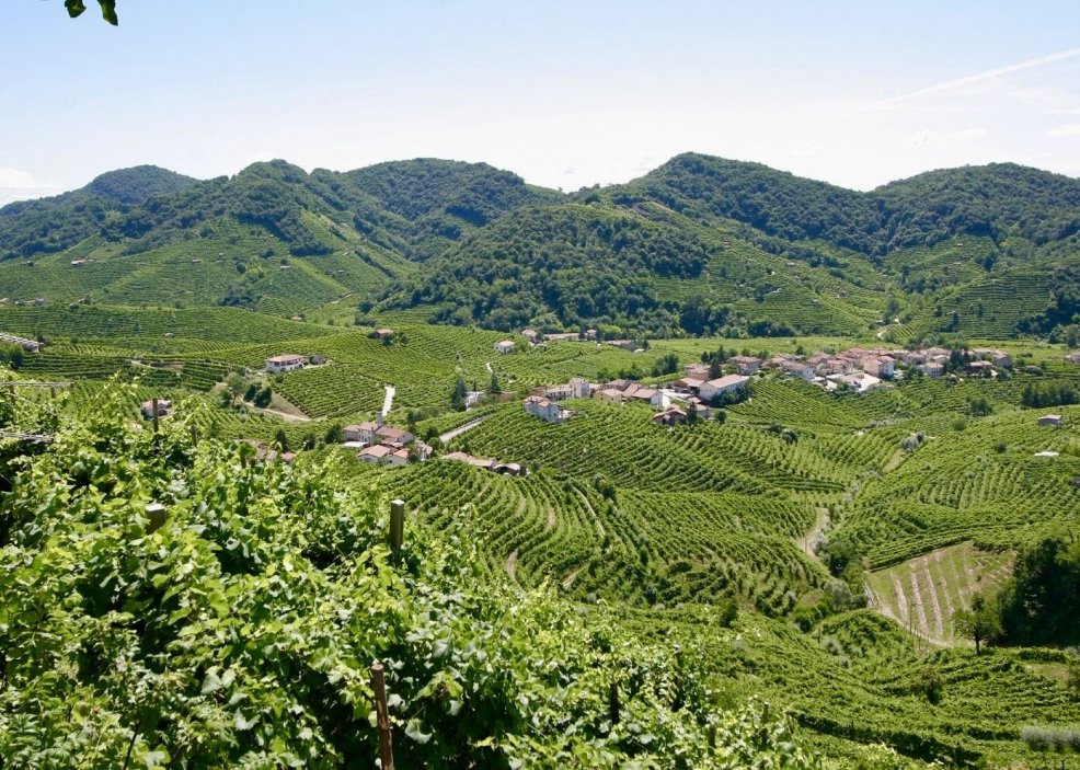 Kvalita šumivých vín s označením prosecco může být excelentní, ale taky dost mizerná. A právě to znepokojuje výrobce těch kvalitnějších. Některá severoitalská vinařství se proto rozhodla na svých lahvích raději označení prosecco vůbec neuvádět.