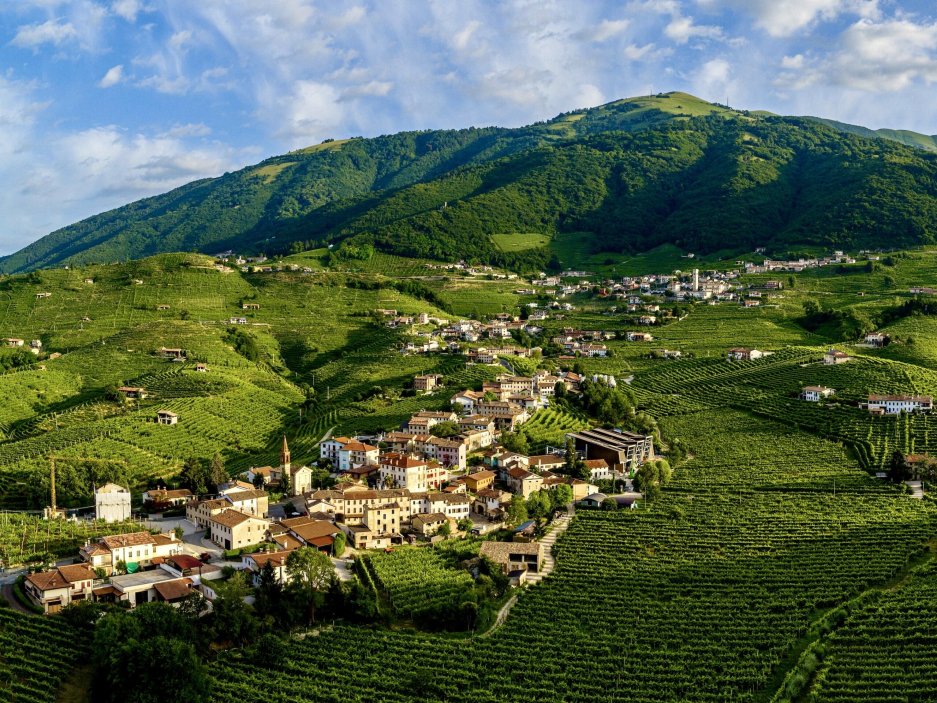 Kvalita šumivých vín s označením prosecco může být excelentní, ale taky dost mizerná. A právě to znepokojuje výrobce těch kvalitnějších. Některá severoitalská vinařství se proto rozhodla na svých lahvích raději označení prosecco vůbec neuvádět.