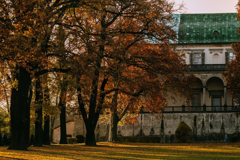 Chotkovy sady, sousedící s Letohrádkem královny Anny mezi ulicemi Mariánské hradby a Chotkovou, jsou památkově chráněným parkem s bohatou historií.