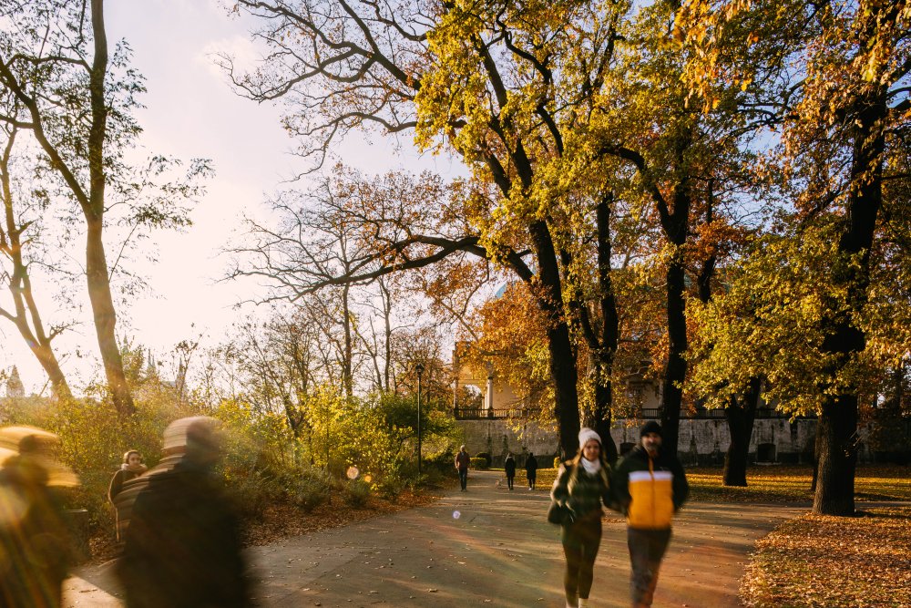 Park v anglickém stylu, založený roku 1832 v souvislosti s výstavbou Chotkovy silnice, je prvním veřejným parkem v Praze a zároveň prvním dílem Františka Thomayera.  