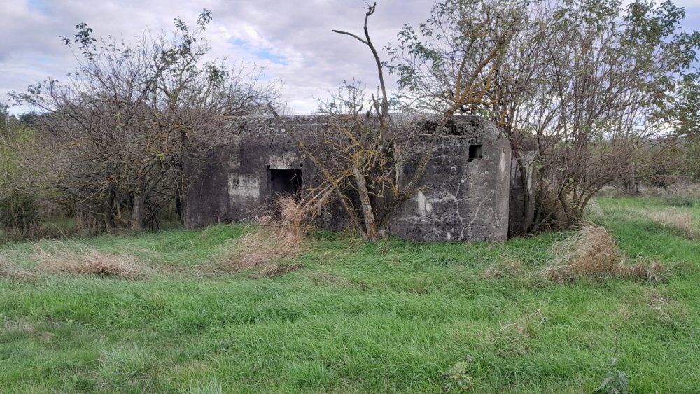 Tento řopík je nedaleko a je za 42 tisíc korun.