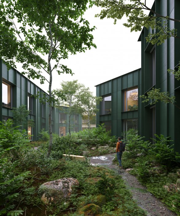 Lesy v lese. Lesy ČR dostanou novou centrálu