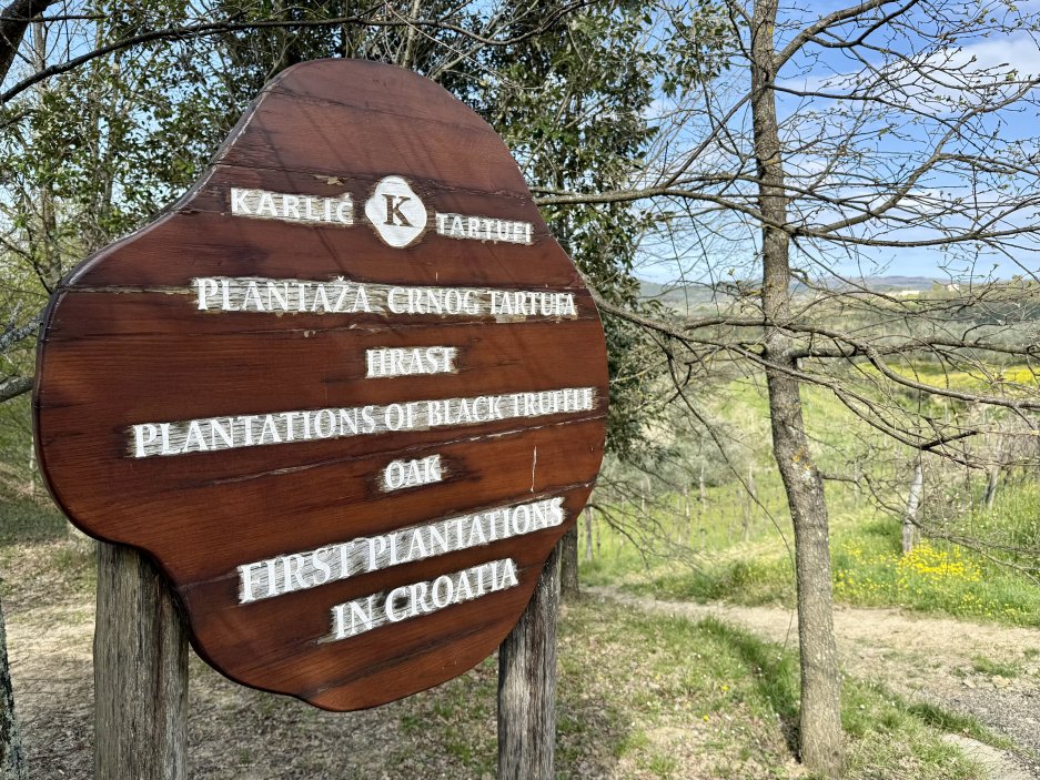 Lanýžová plantáž