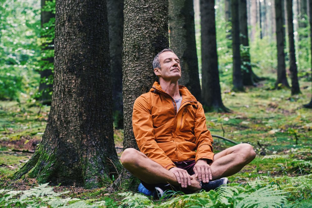 Lesní terapie „Shinrin-yoku“ pochází původně z Japonska a jde o cvičení mindfulness přímo v lese.