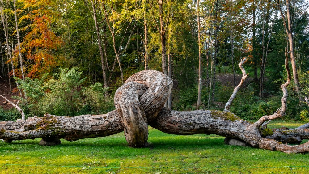 Venkovní galerie Arte Sella