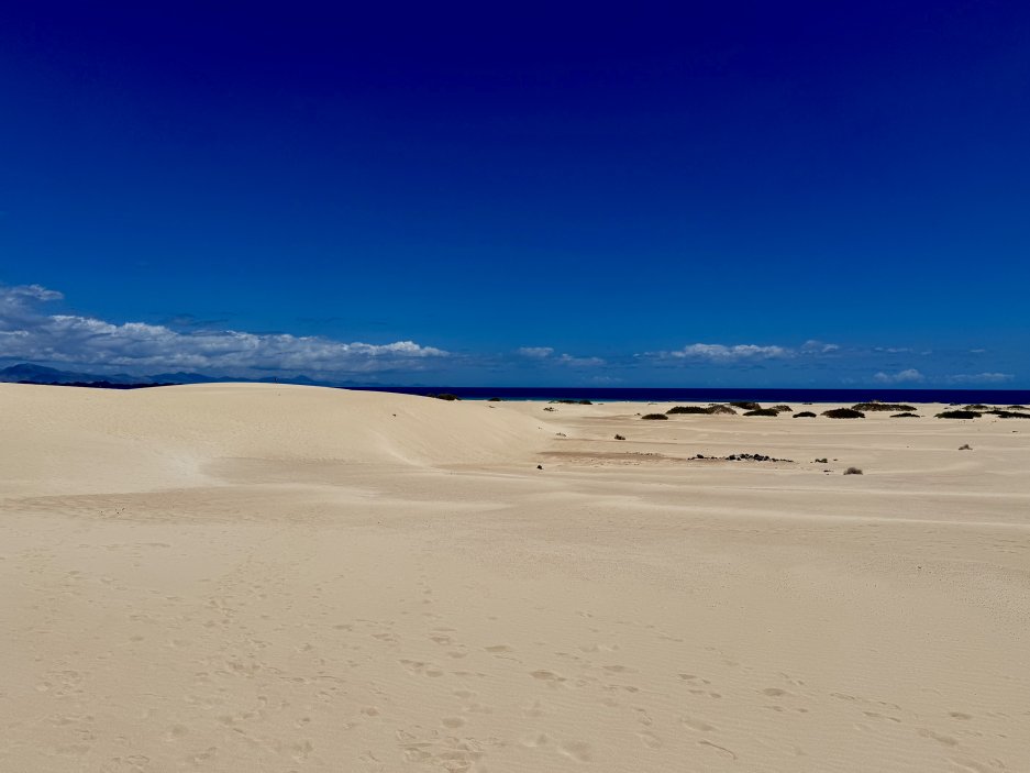 Písečné duny Corralejo