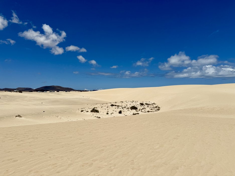 Písečné duny Corralejo