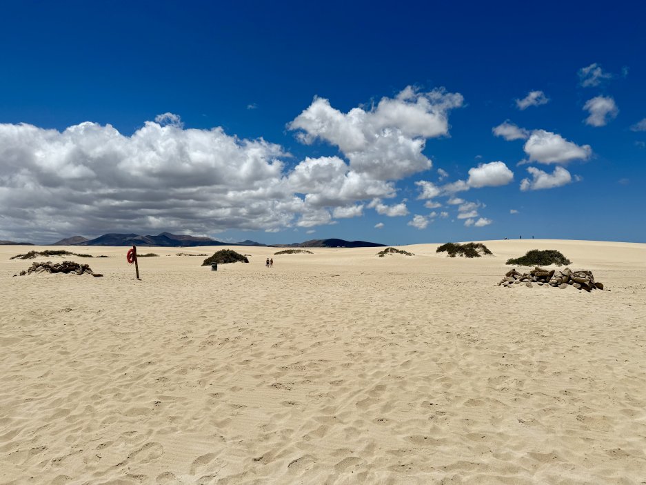 Písečné duny Corralejo