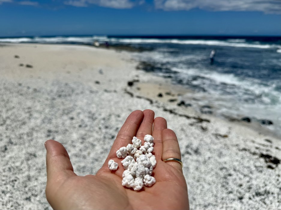 Popcorn beach