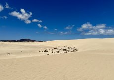 Písečné duny Corralejo