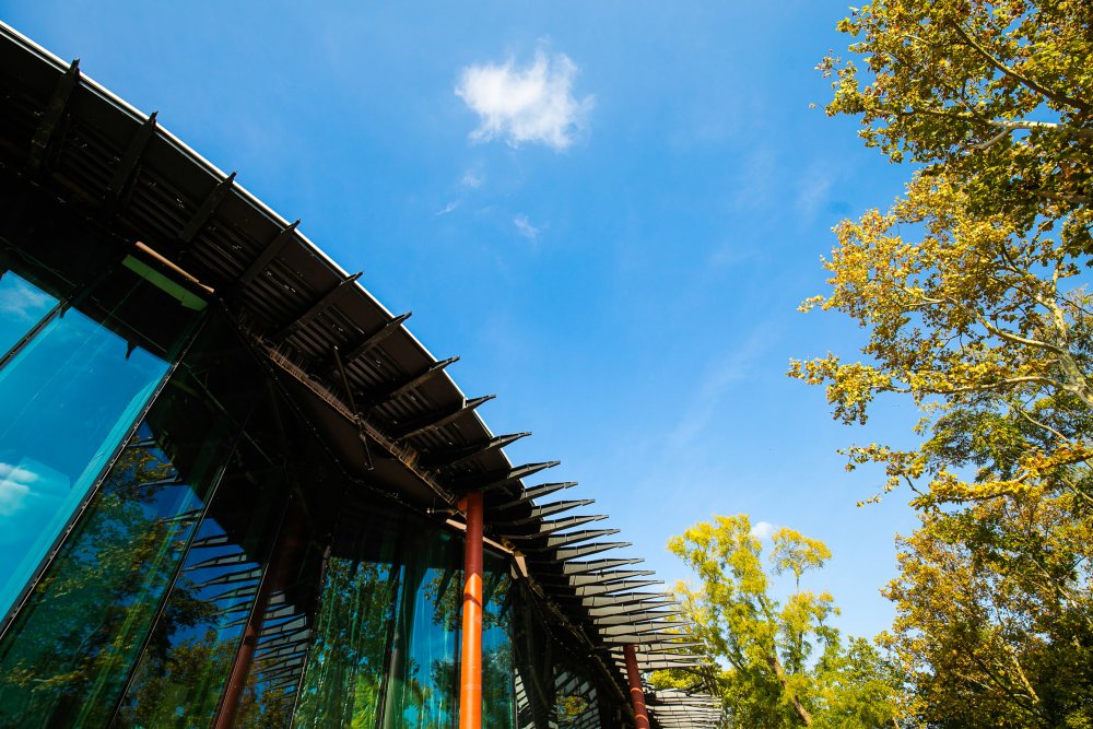 Budovu organických tvarů navrhlo architektonické studio Sou Fujimoto.